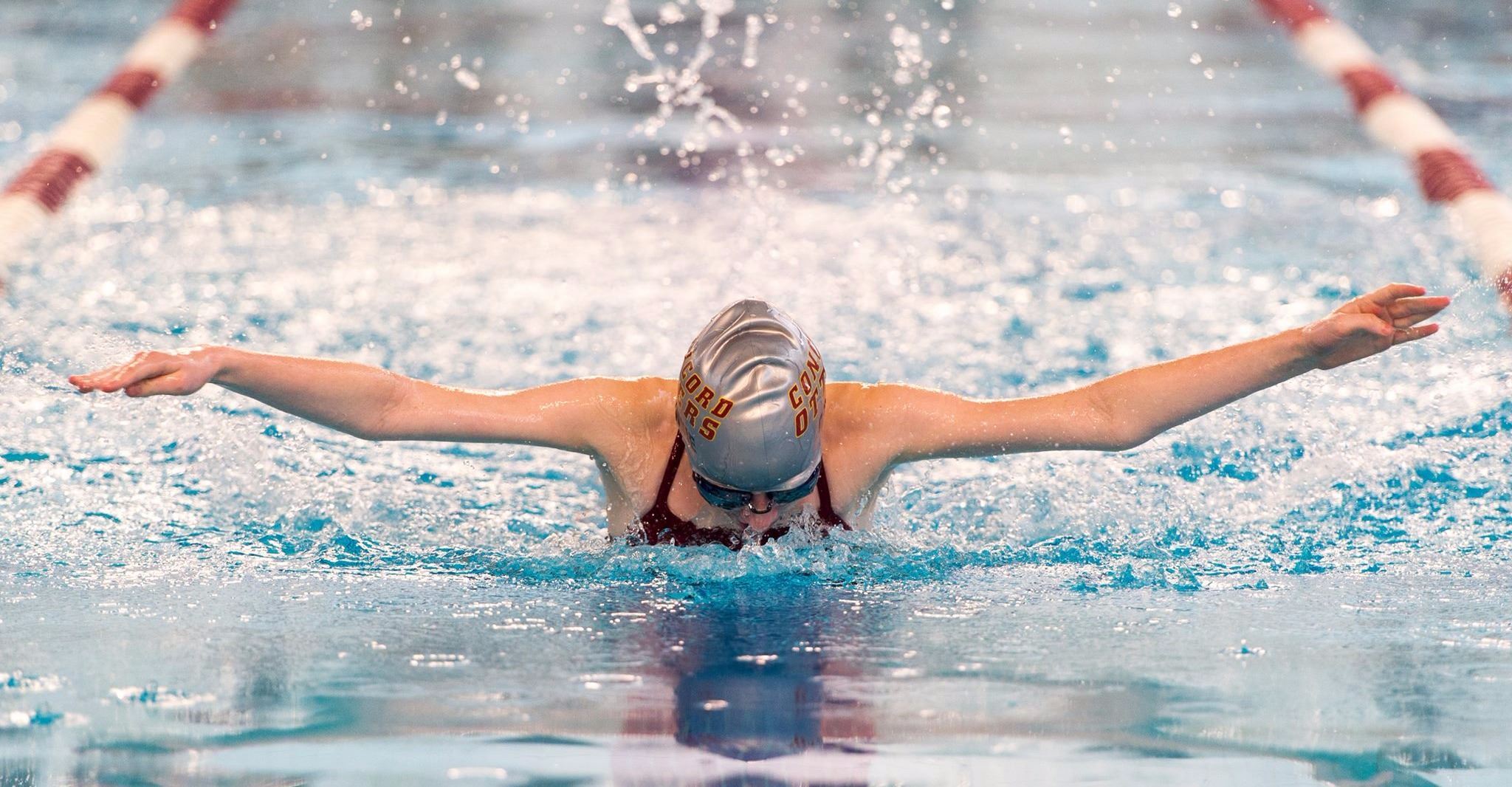 10428186_704238679657935_6460418716243838249_o